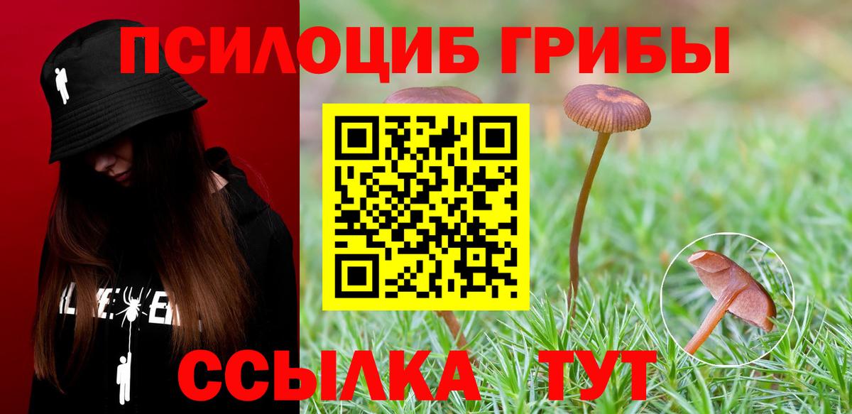 Каменка  закладка  Вход с VPN  Галлюциногенные грибы MAGIC MUSHROOMS 