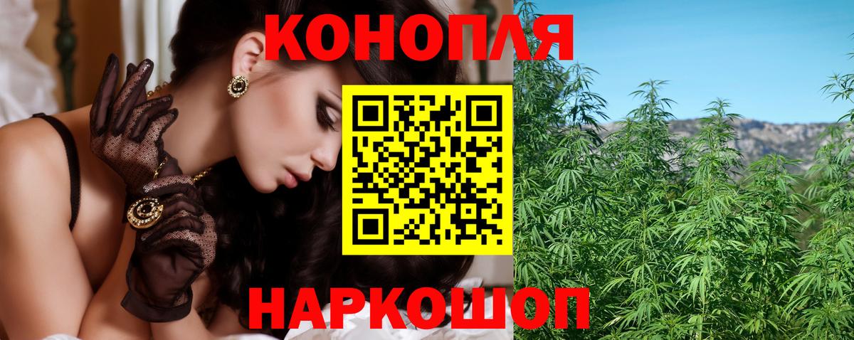 Марихуана план Каменка